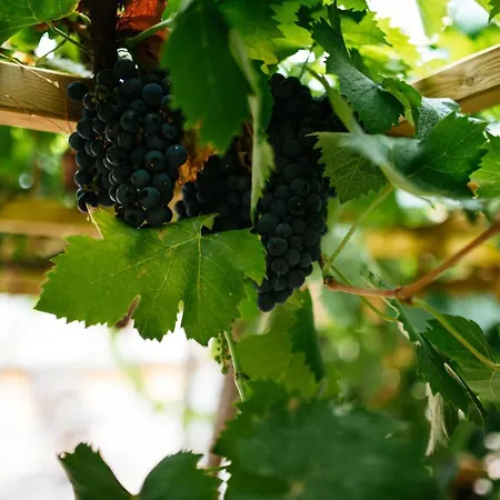 Umbrian Concierge - La Casa Dei Pellari ゲストハウス 4*