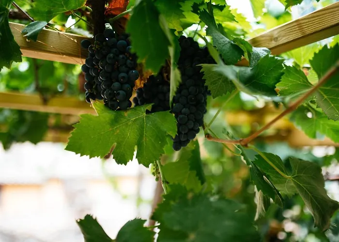 Umbrian Concierge - La Casa Dei Pellari Pensjonat 4*